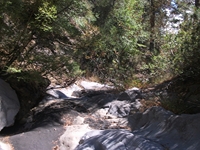 rrente Quarantore-20110911 047